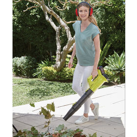 Souffleur électrique sans fil puissant et portable 21 V pour jardin - Chine  Souffleur électrique à feuilles et souffleur à feuilles de jardin prix