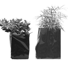 Buy Wholesale China Grow Bags With Handles Non-woven Fabric Pots For  Flower/ Tomato Planting Vegetable Growing Outdoor & Plant Grow Bags,grow  Bags at USD 1.75