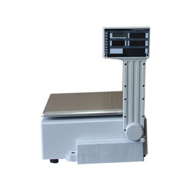 Zt-120 Dial Body Scale, Manual Weighing Scale - China Dial Body