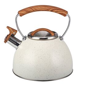 https://p.globalsources.com/IMAGES/PDT/S1200499721/Stove-top-kettles.jpg