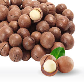 Nueces de Macadamia con Cáscara de Calidad Superior, Crudas, Orgánicas a Granel, Venta al por Mayor desde Vietnam