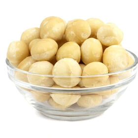 Nueces de Macadamia de Alta Calidad con Cáscara Crudas Orgánicas a Granel Venta al por Mayor