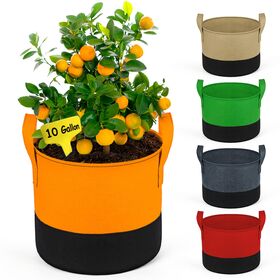 Green/orange Round Grow Bag 15x18, For Growing Plants