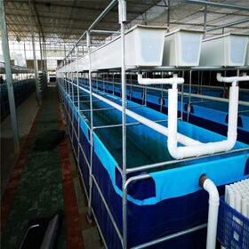 China Large Plastic PVC Fish Ponds Manufacturers, Suppliers, Factory,  Company - REEVOO