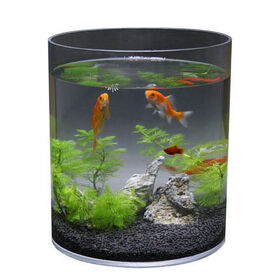 Wholesale Tall Cylinder Fish Tank Products at Factory Prices from