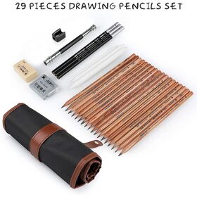 Basics Sketch and Drawing Art Pencil Kit, 17 Piece Set, Charcoal,  Black, White