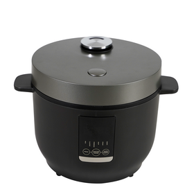 https://p.globalsources.com/IMAGES/PDT/S1201297541/Electric-rice-cooker.png