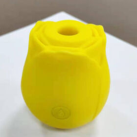 Intimate Delights: Discreet China Wholesale Rose Clit Toy Products at  Factory Prices