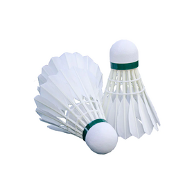 Volants de badminton stables et durables pour entraînement de vitesse, pratique du badminton en intérieur et en extérieur, activités sportives