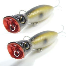 https://p.globalsources.com/IMAGES/PDT/S1201743669/popper-fishing-lure.jpg