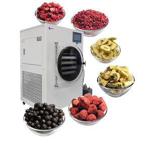 Vegetable Fruit Food Liofilizador Mini Vacuum Dried Home Use Freeze Dryer  Lyophilizer With Vacuum Pump Machine For Sale