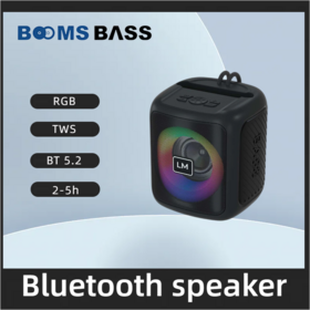 M2204+Boomsbass Wireless Deep Bass Outdoor Party Karaoke Bluetooth