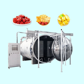 Fruits Freeze Dehydrator Machine commercial freeze dryer for sale – WM  machinery