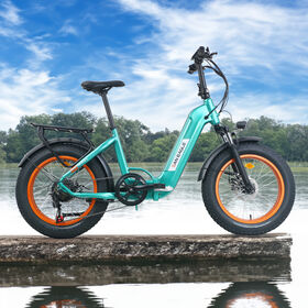 Foshan Saneagle International Trading Co. Ltd China Electric Bike Bike Manufacturer Global Sources