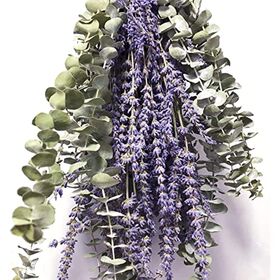 115 Pcs Dried Eucalyptus Stems & Lavenders Flowers Bundles for