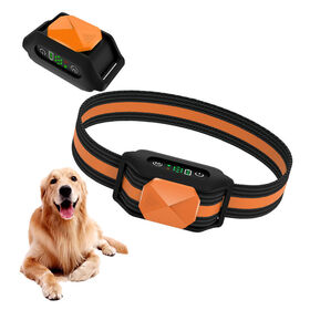 Best dog shock collar hot sale 2020