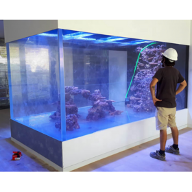 Wholesale Large Cylinder Aquarium Products at Factory Prices from