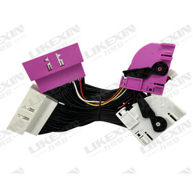Custom Automotive Female and Male Auto Connector Wiring Harness