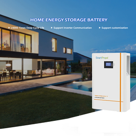 Custom Energy Storage 24V 200Ah Lithium Battery Pack - SmartPropel Lithium  Battery
