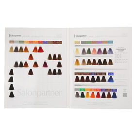 OEM Custom Color Model Vertical Hairdressing Salon Chart - China Hair Color  Chart and Hair Dye Color Chart price