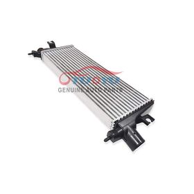 China Radiator Cleaner in Cleaner Manufacturers, Suppliers