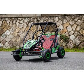 Mini Gas Powered off Road Go Karts, Kids Buggy Outdoor Sport, Sand Karts -  China Go Kart and Adult Toys price