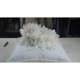 China Factory 2-6cm Washed Grey Goose Feathers for Pillow - China