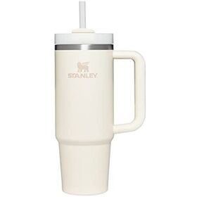 Stanley Tumbler 4O Oz Leopard Stanley Dupe On Sale - Stylish