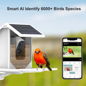 Nichoir à oiseaux avec caméra - Alimentation intelligente pour oiseaux avec  caméra vidéo HD 1080p HD - Enregistrement automatique - Mangeoire solaire