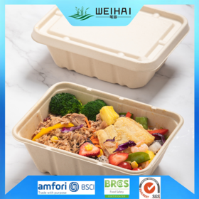 https://p.globalsources.com/IMAGES/PDT/S1207937050/biodegradable-salad-containers.png