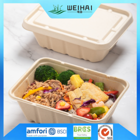 Degradable Sugarcane Food Containers Oatmeal Bowls with Lids-Bowl