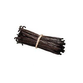 Vanilla Bean – ICONIC Wholesale