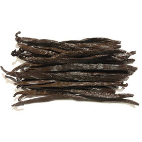 Vanilla Bean – ICONIC Wholesale