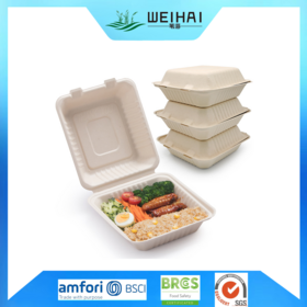 https://p.globalsources.com/IMAGES/PDT/S1208121284/hot-food-container.png