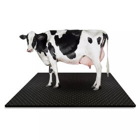 Buy Wholesale China Rubber Stable Mat Manufacturer Water Proof Hammer  Groove Mat Pig Stall Anti-slip Mat For Animals & Cow Stable Rubber Mat at  USD 0.5