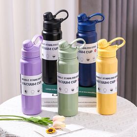 Wholesale 840ml Outdoor Portable Large Capacity Straw Insulation Stainless Steel Sports Bottle Flasks Straw Cup