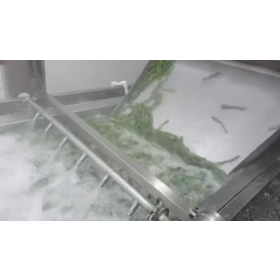 Water Bubble Washing Machine and Vegetable Cleaning Machine Supplier