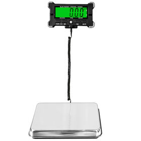 https://p.globalsources.com/IMAGES/PDT/S1209329945/120kg-Electric-Weighing-Scale.jpg