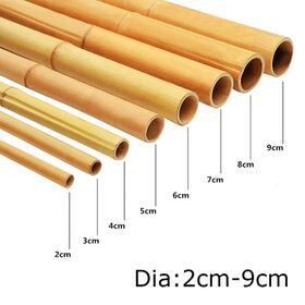 Moso Nature Bamboo Sticks and Big Bamboo Pole - China Tonkin Cane and Tea  Stem Bamboo price