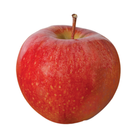 Buy Wholesale United States Hot Selling Organic Fruits Bulk Fresh Apples &  Fresh Apple at USD 200