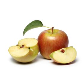 Buy Wholesale United States Hot Selling Organic Fruits Bulk Fresh Apples &  Fresh Apple at USD 200