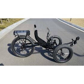 China Recumbent Exercise Bikes, Tandem Bikes Offered by China Manufacturer  & Supplier - Zhengzhou Motrike Import & Export Trading Co., Ltd.