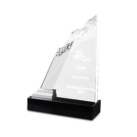 Customize Ad-211 Clear Laser Engraved Acrylic Hot Press Trophy Plaque -  China Acrylic Plaque and Trophy Plaque price