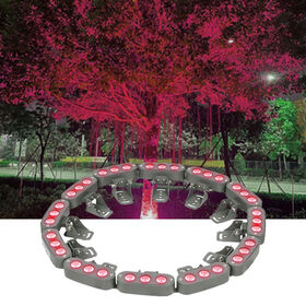Palm Tree Ring Light Manufacturer & Supplier in China