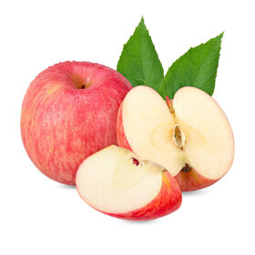 China Fresh Fuji Apples Manufacturers Suppliers Factory