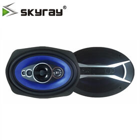 12 Subwoofer 300watts Subwoofer Auto 90dB Sensitivity Car Underseat  Subwoofer - China Audio Speaker, Car Speaker