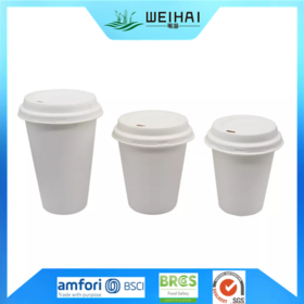 Buy Wholesale China Biodegradable Sugarcane Bagasse Coffee Cup Paper Pulp  Moulded Tea Hot Drink Cups With Die-cut Mouth Lids Cold Icy Cup For Beverage  & Biodegradable Cups at USD 0.025