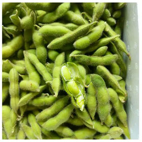 Venta directa de fábrica de edamame crudo natural orgánico a granel, productos de vegetales congelados