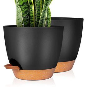 Achetez en gros Pots De Fleurs, Pots De 5 Paquets De 6 Pouces En Plastique  Avec Trous De Drainage Et Soucoupes, Simples Et Modernes Chine et Pots De  Fleurs à 3 USD