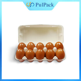 Hochwertige Eierablagen, 10er-Eierkartons, Sonderfarbe, Biologisch Abbaubare Eierkartons, Umweltfreundliche Papierfaser-Zellstoffablagen, Eierboxen aus Zellstoff